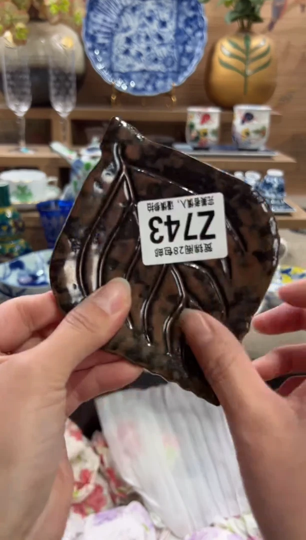 瓷片宁*      Z743