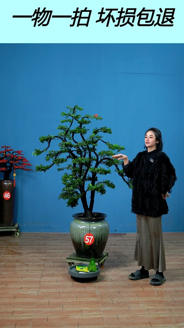 以实际为准王*上广东小叶紫檀