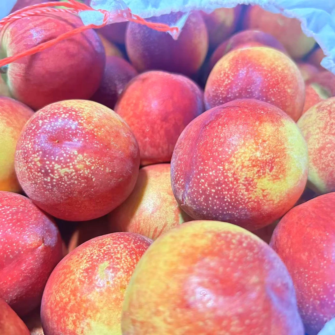 【产地直采】-运城麻点油桃4斤装山西省