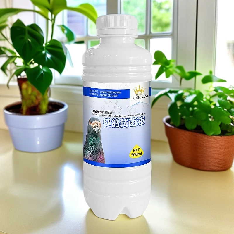 白鸽子搏冠健鸽弑菌液 saglam kaptar shi jun ye【新疆包邮】