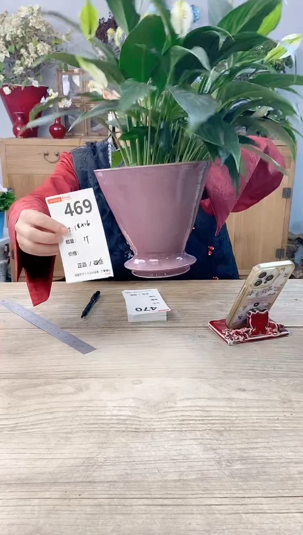 小玩子花盆直播号469