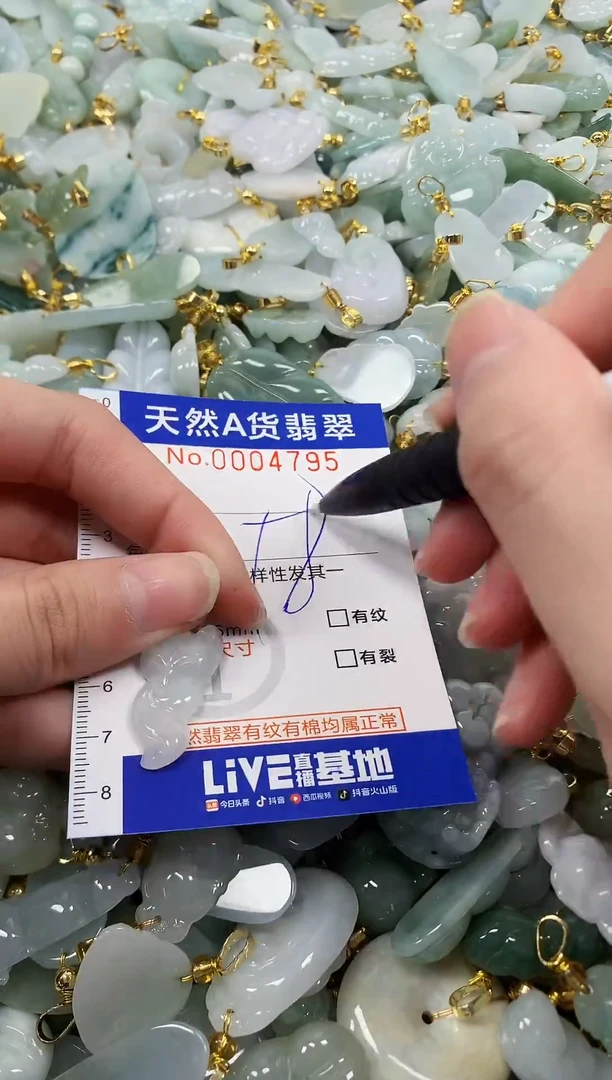 颈饰未镶嵌翡翠纯天然a货翡翠