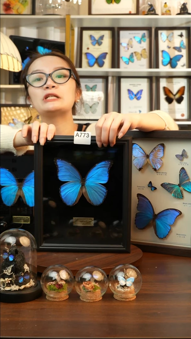 大蓝闪蝶-黑绒（10寸欧式黑框）A773