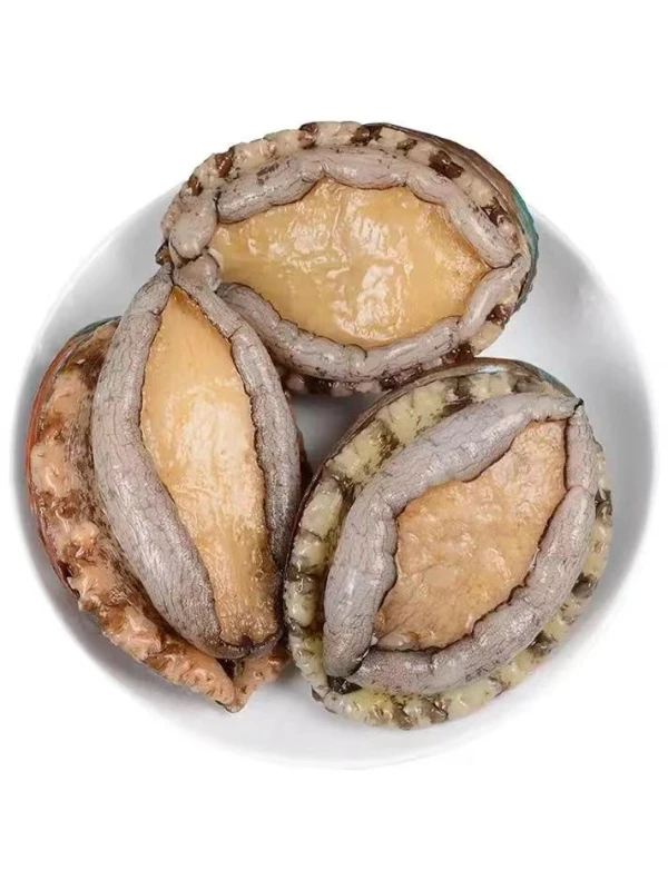 百意大鲍鱼1个