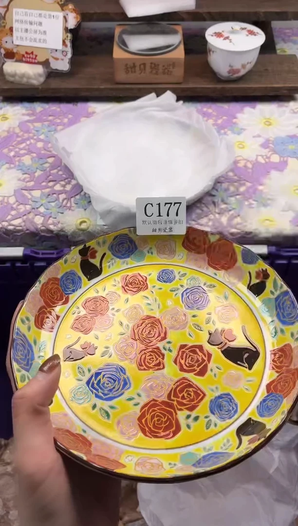 瓷片                     C177