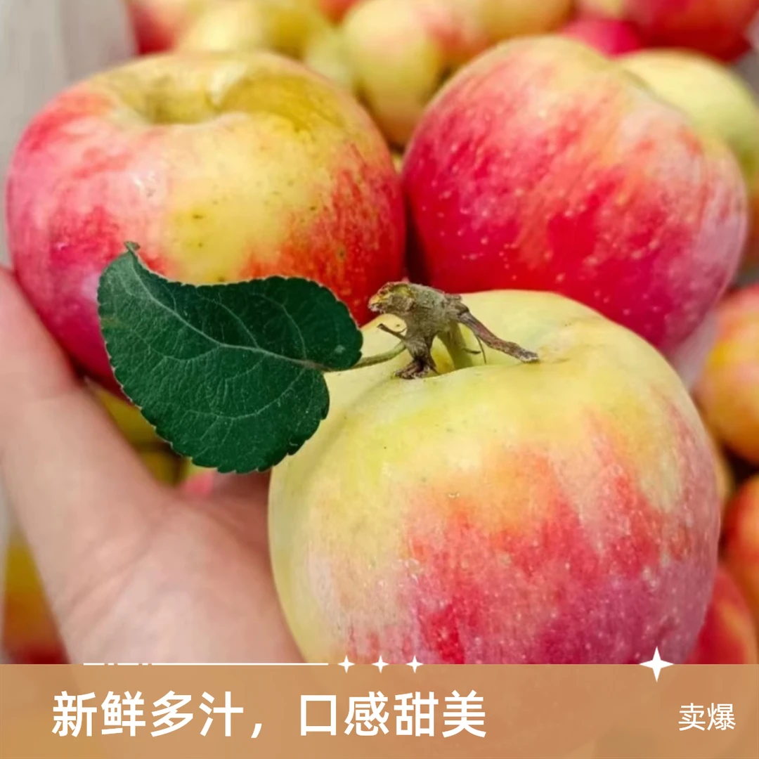 2025新果山东鲁丽小苹果现摘现发应季孕妇水果酸甜新品种苹果【小国光苹果平替】8甜2酸山东省