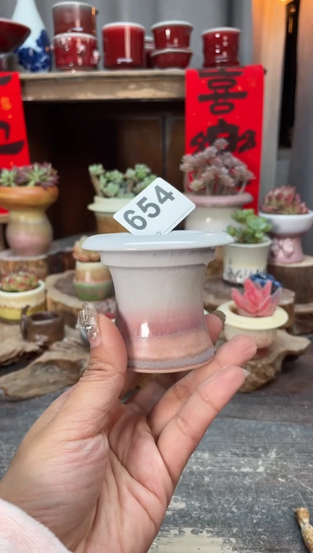【闪购商品】摆件654知木小芳花盆