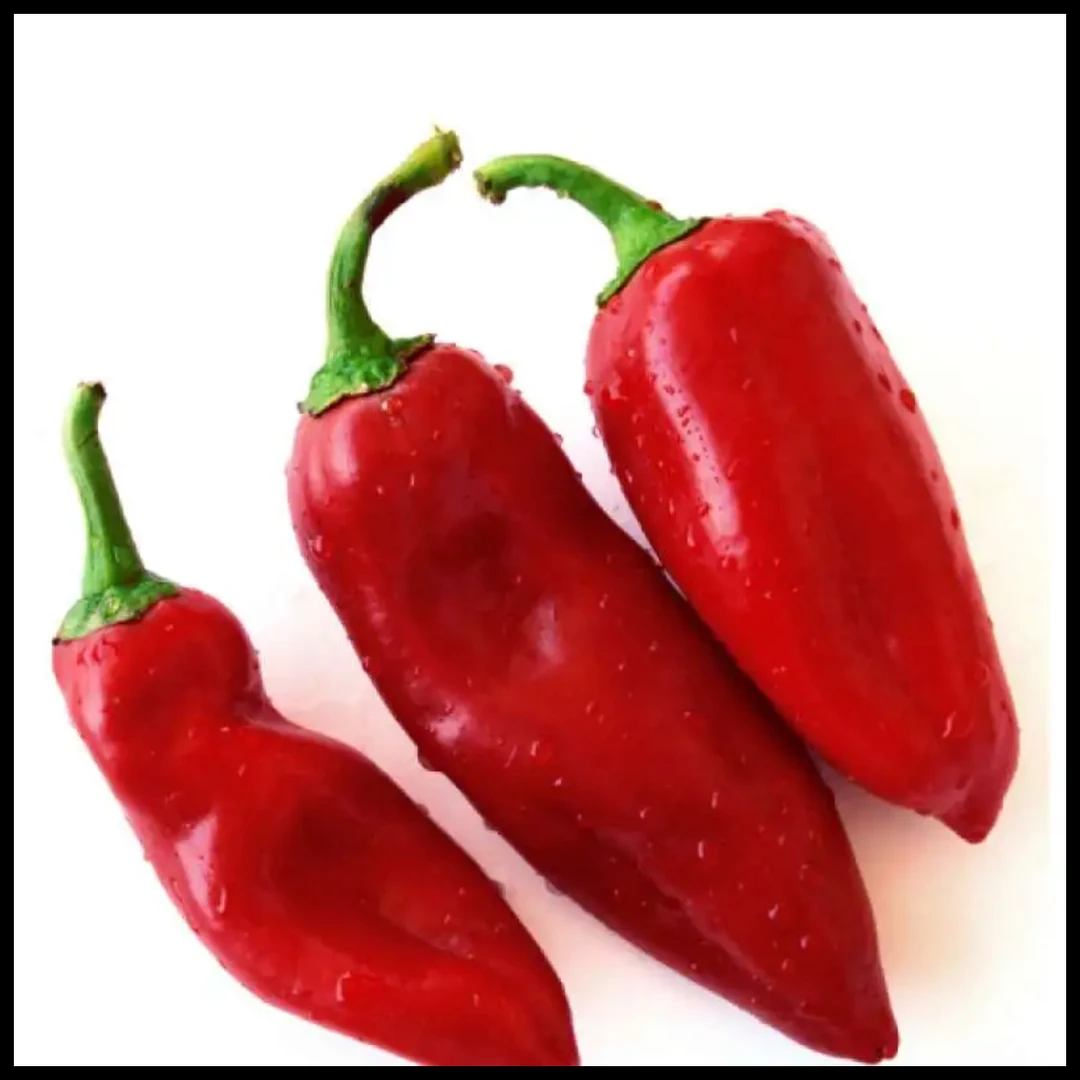大红椒500g
