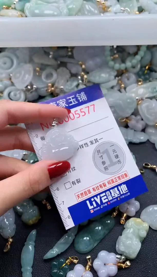 颈饰未镶嵌翡翠5577
