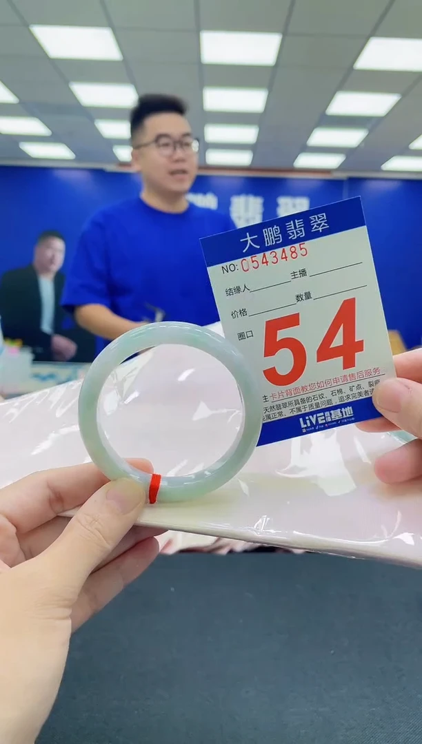 未镶嵌手镯翡翠AAAAAAAAA