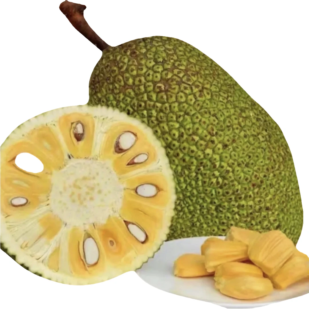 A+级越南进口黄肉菠萝蜜 香甜可口 整果发货 顺丰包邮黄肉菠萝蜜越南社会主义共和国