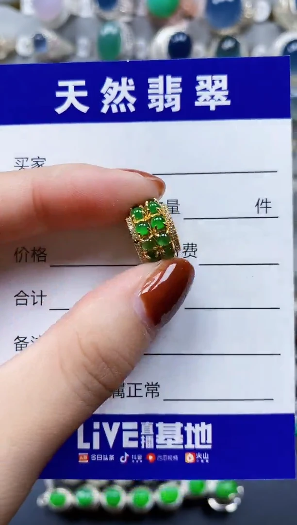 翡翠银S925镶嵌颈饰787