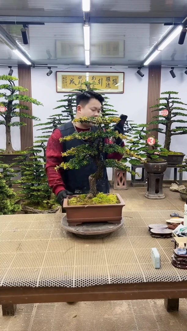 【闪购商品】00000000