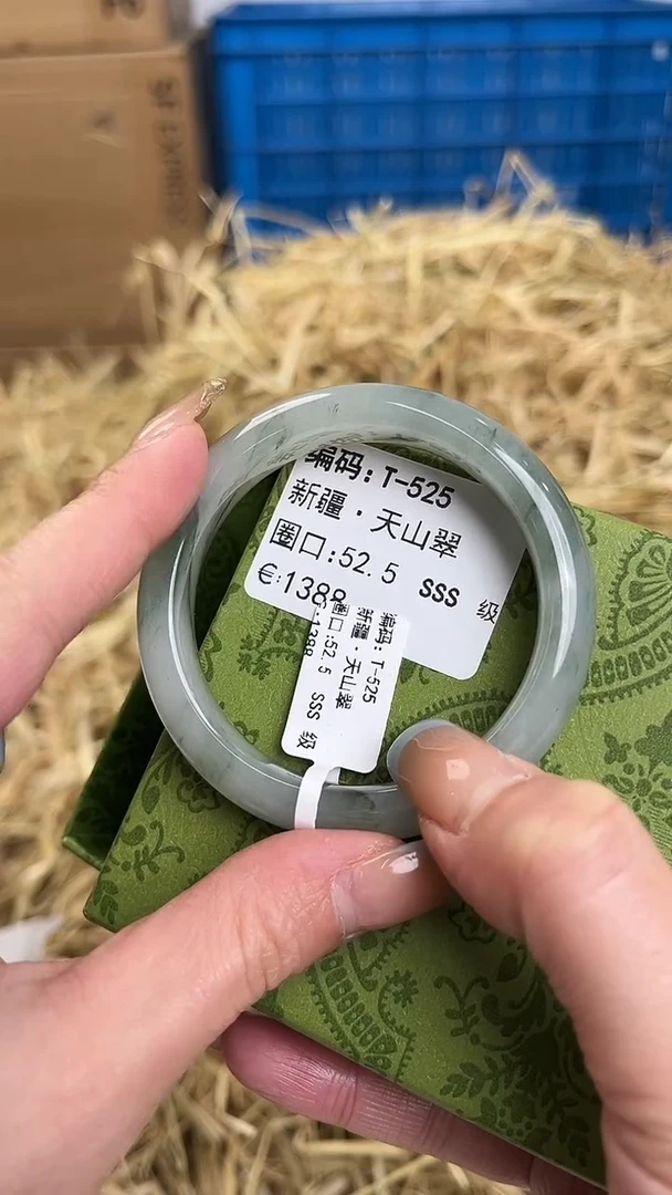 未镶嵌手镯石英质玉T-525