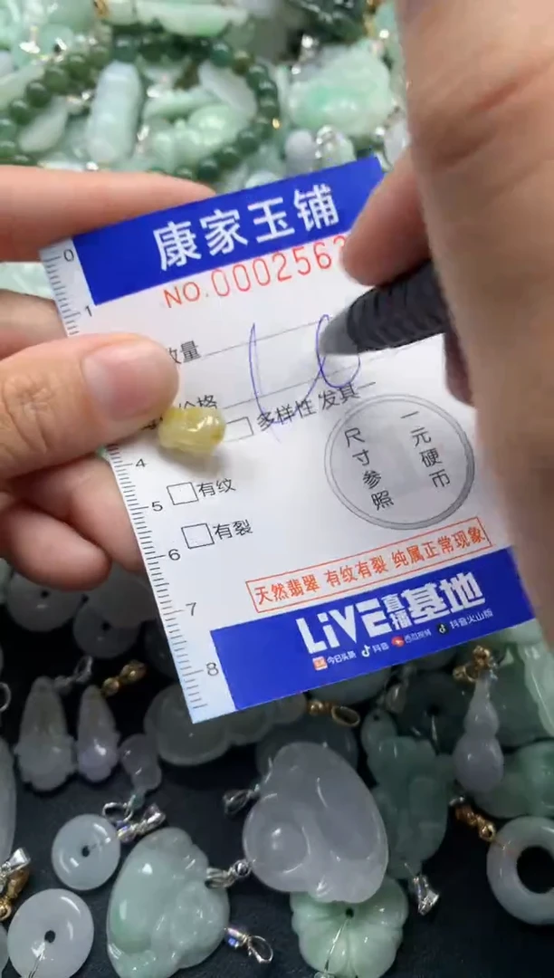 颈饰未镶嵌翡翠2563