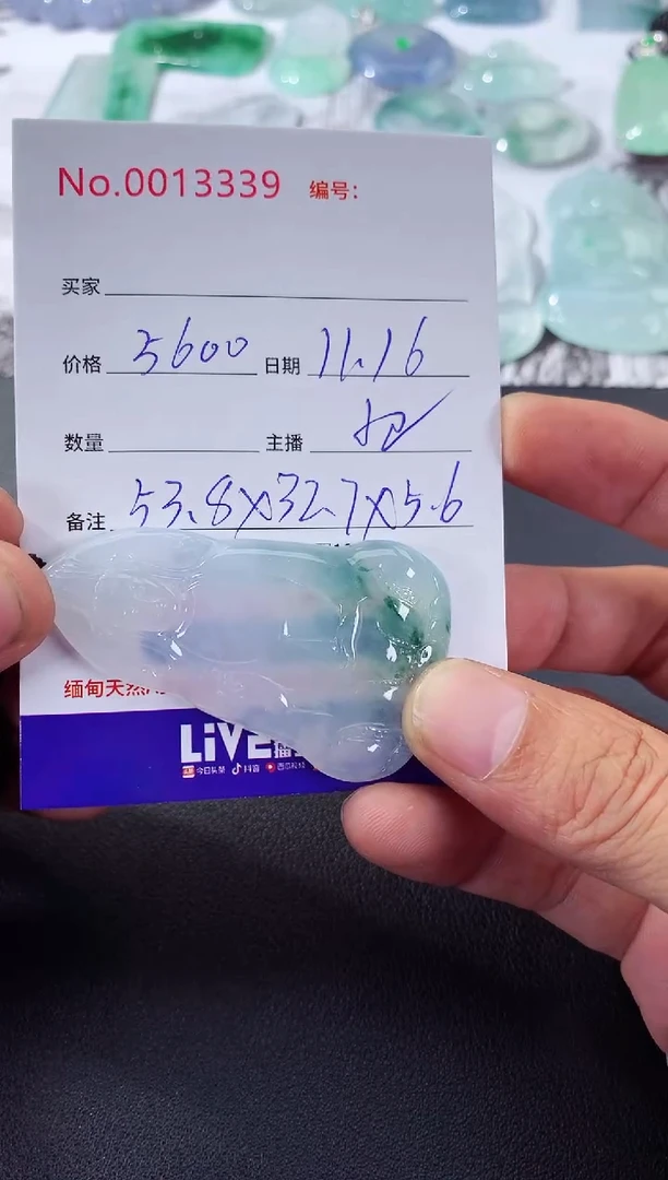 颈饰未镶嵌翡翠素衣
