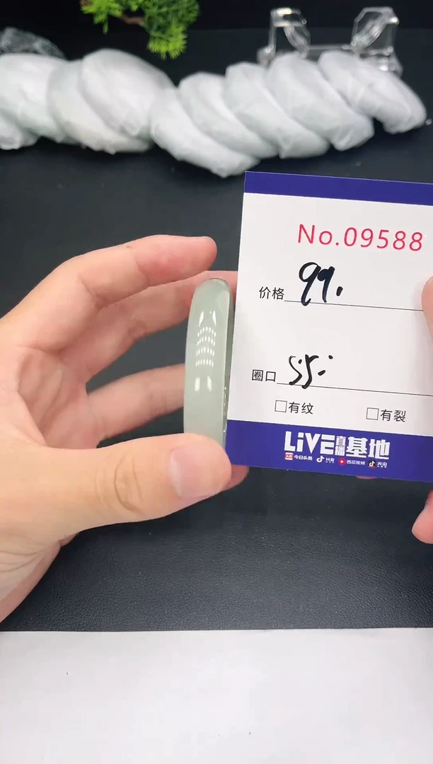 未镶嵌手镯翡翠9588
