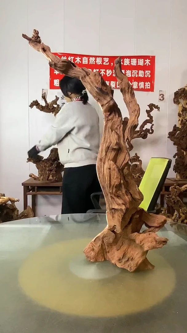 香榧木漫*金丝红木 羊蹄甲