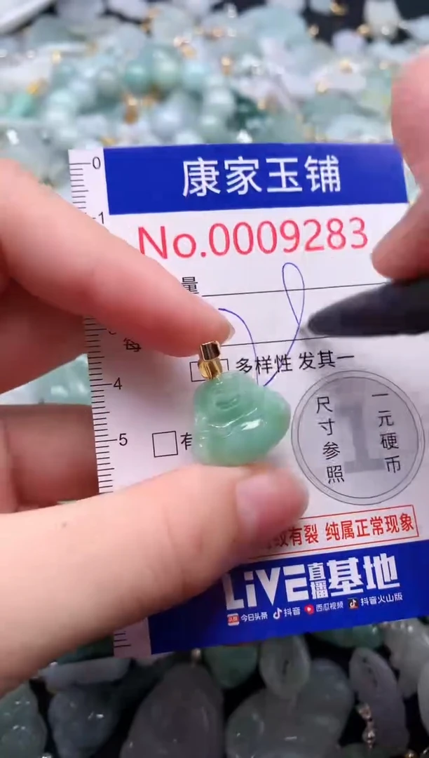 颈饰未镶嵌翡翠9283