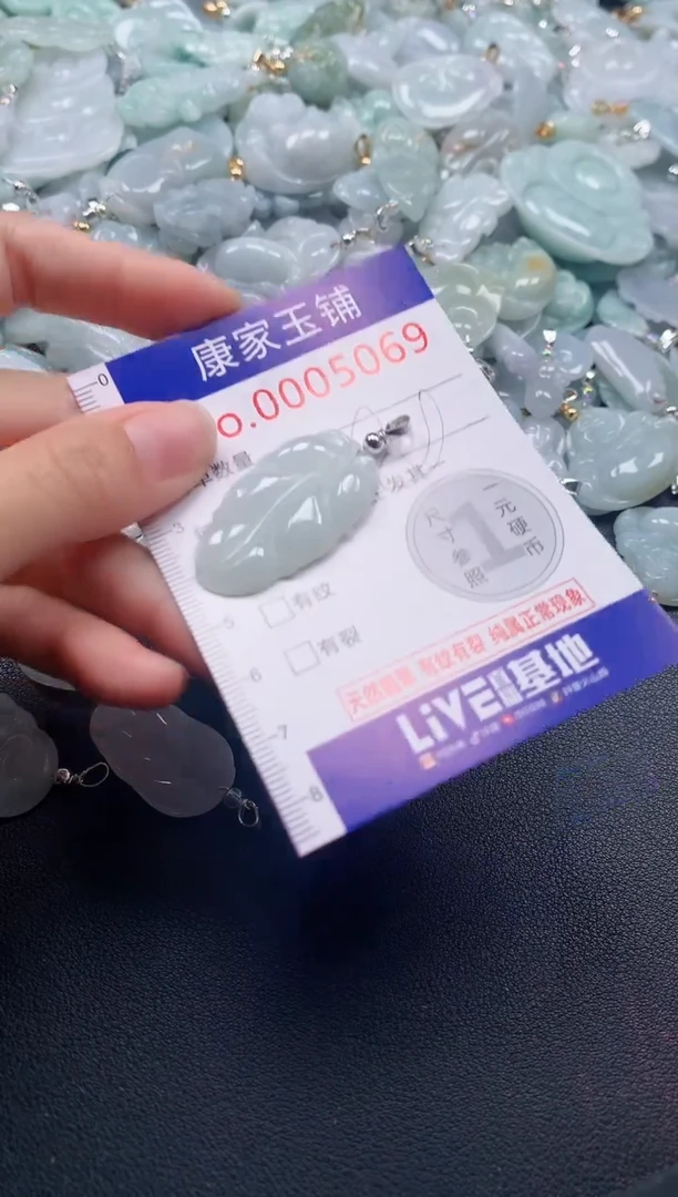 颈饰未镶嵌翡翠5069