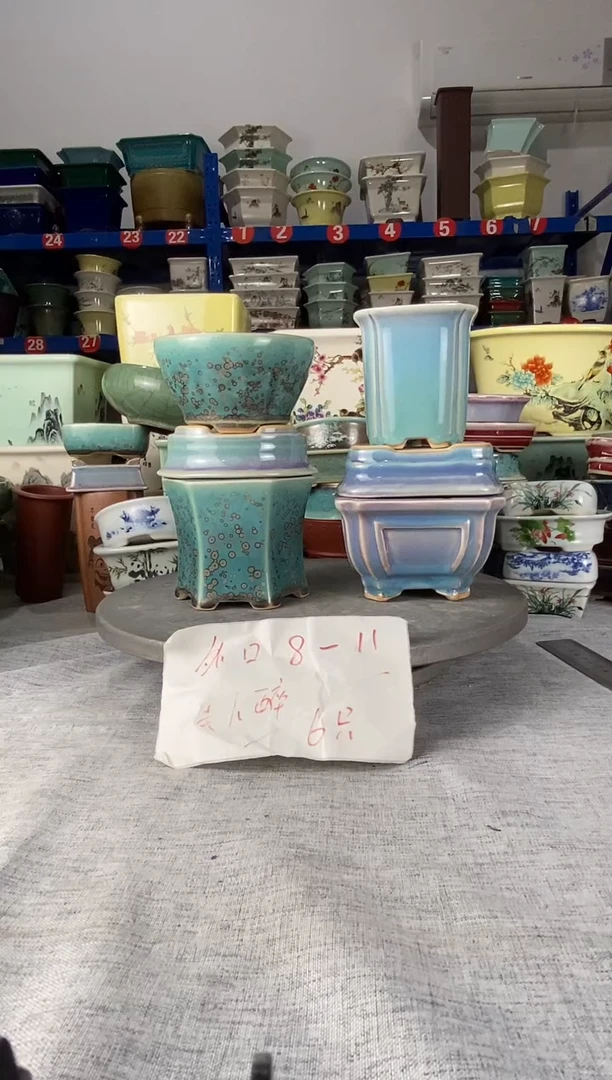 1907六只美人醉花盆