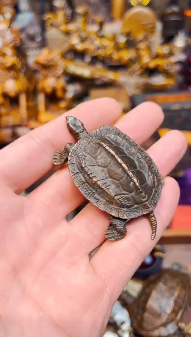 C瑞哥专属高端精品18