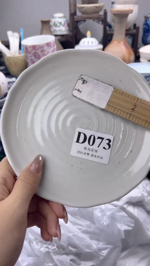 瓷片默*柚  D073