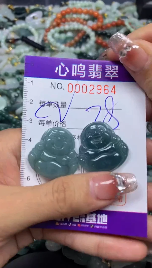 【闪购商品】翡翠颈饰未镶嵌闪购002964