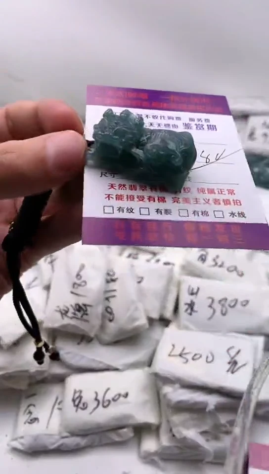 翡翠未镶嵌颈饰貔貅