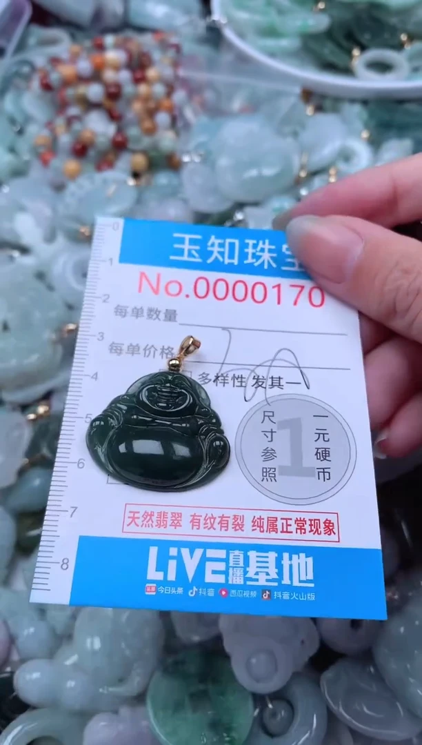 翡翠未镶嵌吊坠(不含链)170