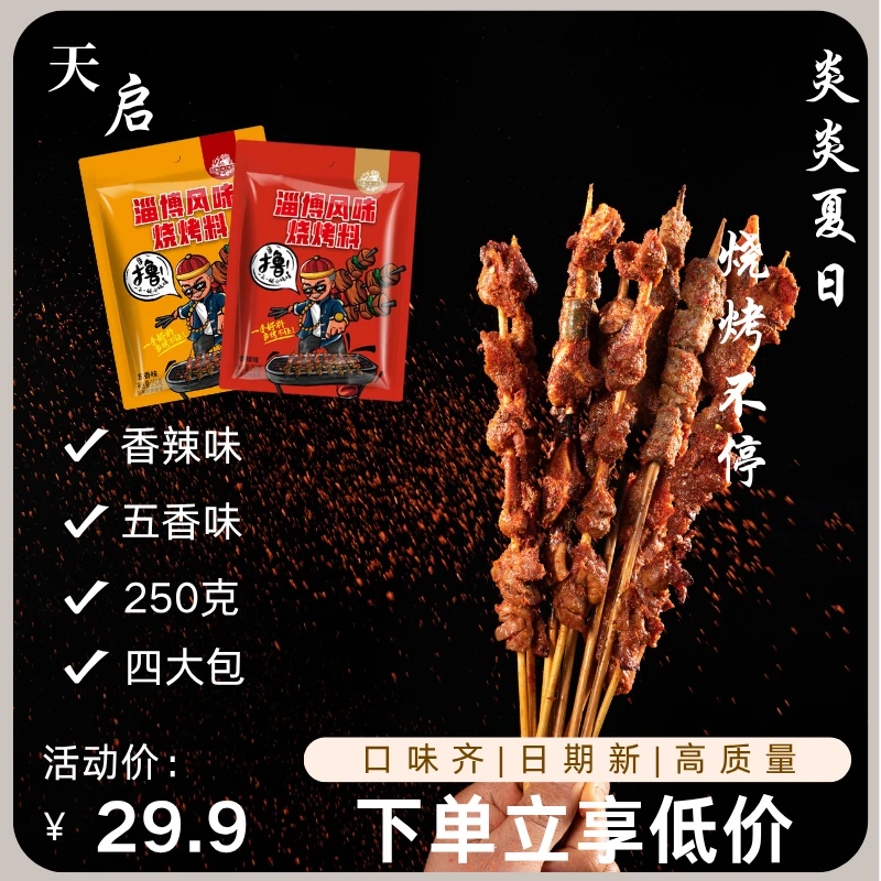 淄博烧烤料250g袋装旅行户外烧烤室内烤肉蘸料烧烤撒料必备调味品