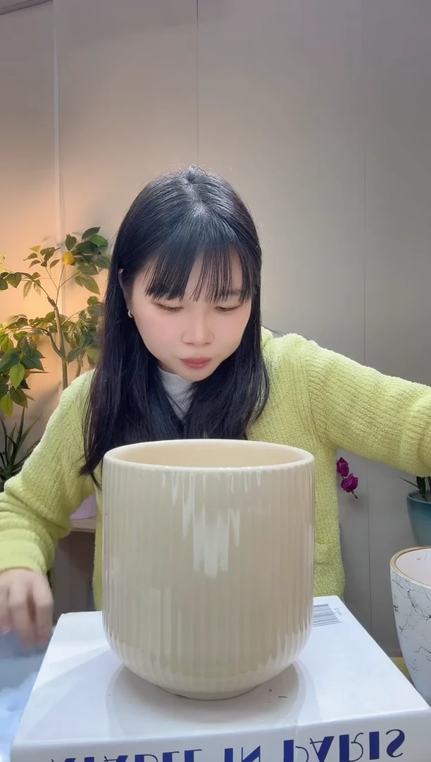 陶瓷花盆 米白 罗马柱 口径15/高度15