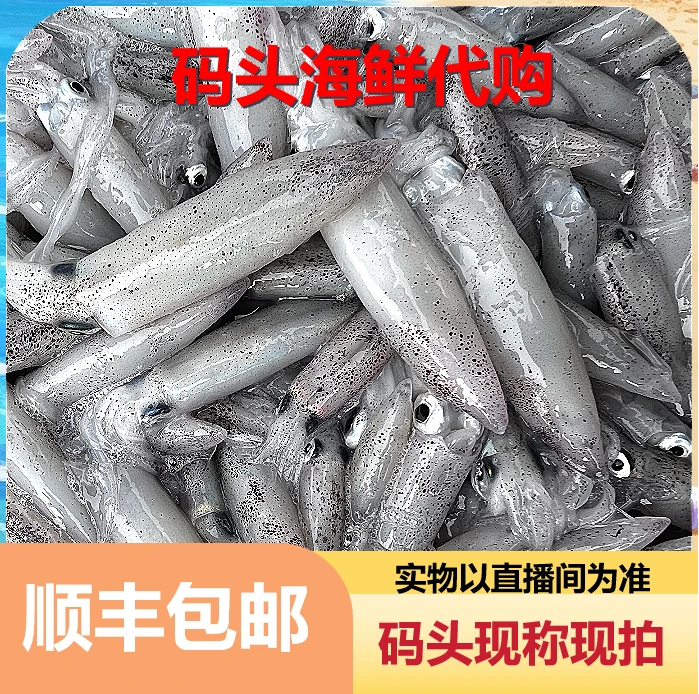 （直播代购）北海一口鱿鱿鱼现场现称现拍（以直播间实物为准）