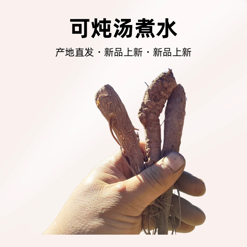 甘肃岷县当归身可炖汤煮水产地直发