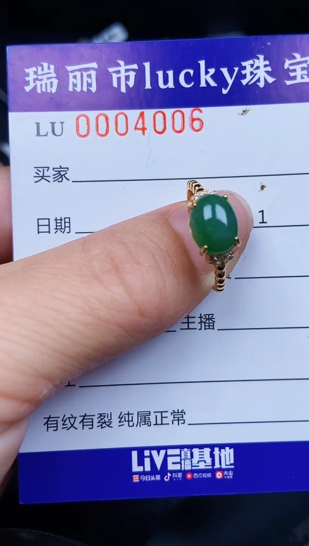 翡翠银S925镶嵌颈饰4006