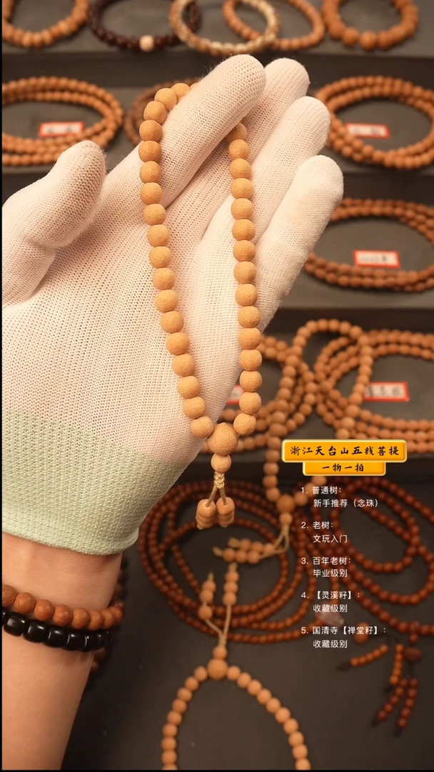吊坠五线菩提渣****ᴳy手持