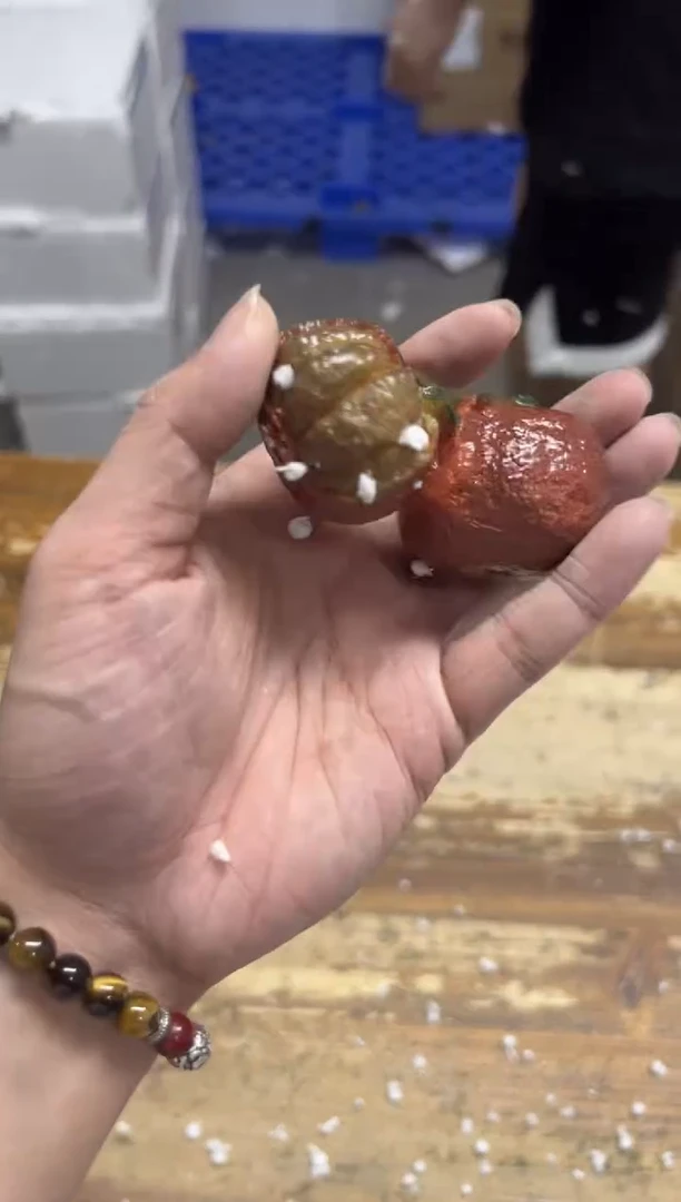 瓷片【闪购商品】------