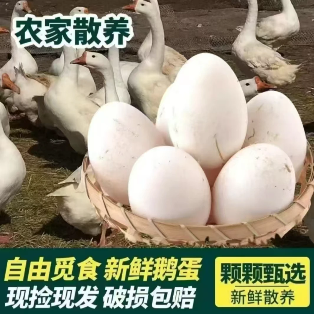 农家散养土鹅蛋现捡先发12枚 90-100克