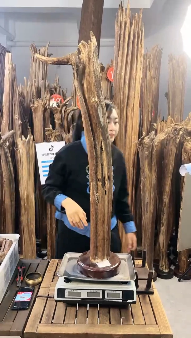 【闪购商品】沉香摆件沉香摆件多样性发一件81