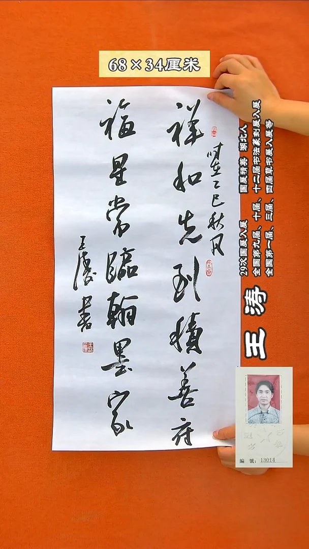 书法231R王涛书法作品