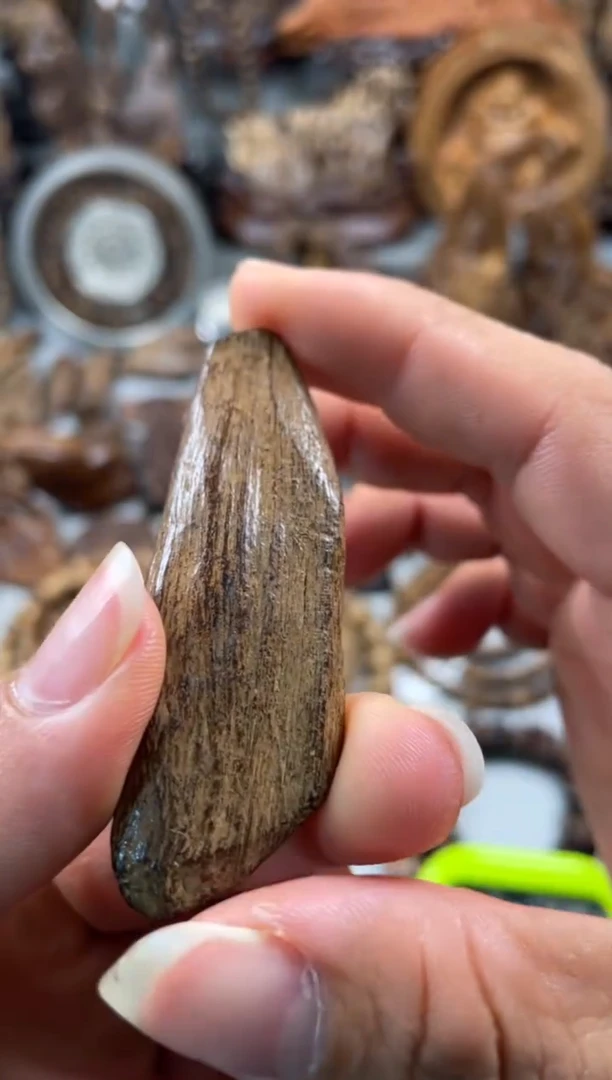 沉香碎屑沉香枫* 沉香   土沉 沉香   土沉