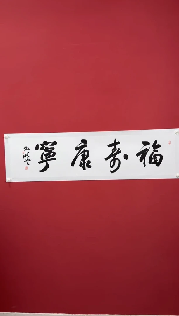 书法福寿康宁书法11