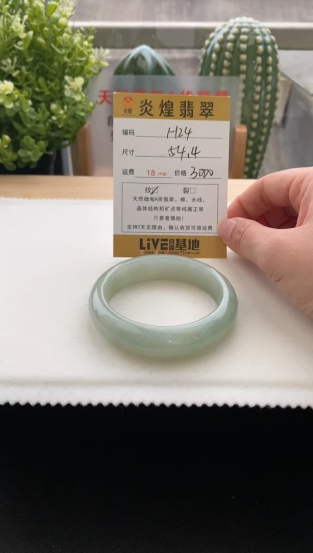 未镶嵌手镯翡翠54.4圈口 编码 H24