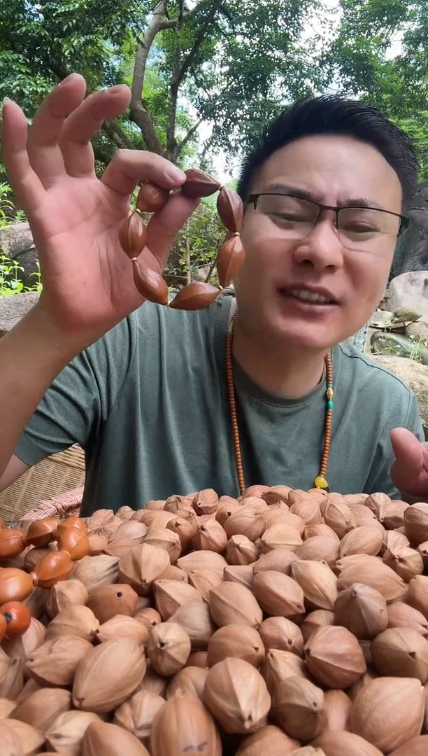 橄榄核手串定风珠 梅林铁核原生态手串 1680