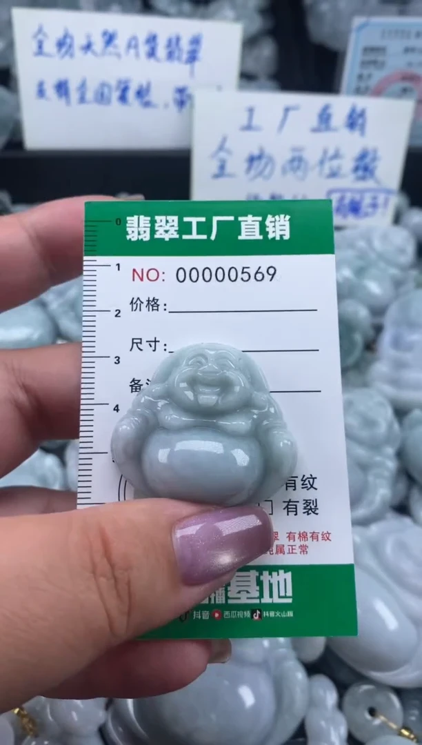 翡翠未镶嵌颈饰天然A货翡翠0569
