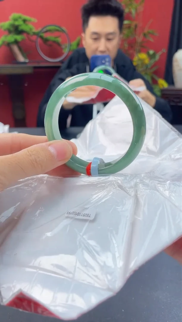 未镶嵌手镯翡翠5