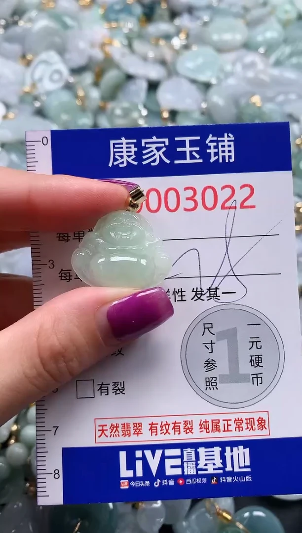 颈饰未镶嵌翡翠3022