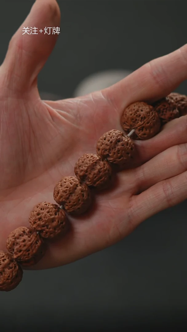 手串金刚菩提原生态私人订制LQ07【玄铁】20尺