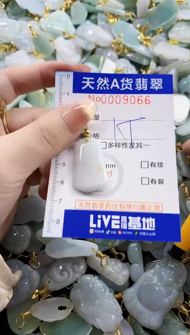 颈饰未镶嵌翡翠L***s天然A货翡翠