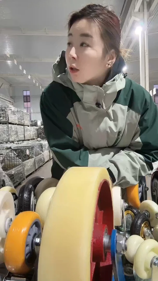 用户6735专属8寸大02  4个定向4个万向